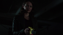 POI 0305 Root.png