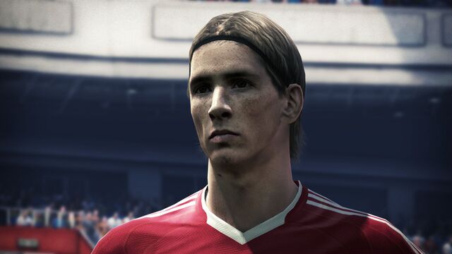 Datei:Torres Pes 2010.jpg