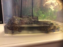 Res tank