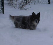 NIKI GOOD OUTSIDE smaller