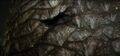 Thumbnail for version as of 23:13, March 27, 2014