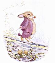 Tpc-m-the-tale-of-benjamin-bunny-beatrix-potte-img23