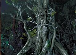 File:Rootcouncil.jpg