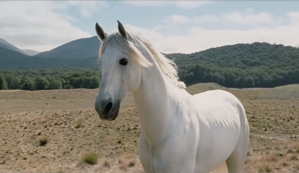 File:Shadowfax.jpg