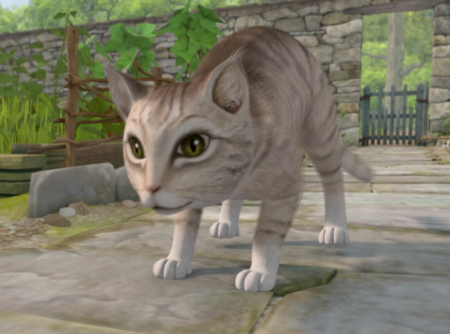 File:Unnamed Cat.png