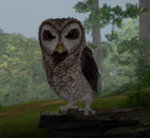 File:Old-Brown-Owl-Angery-Character-Image.png