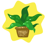 Verdant shrub