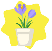 Petite crocus