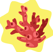 File:Coral.png
