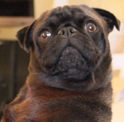 File:Edgar 1.png