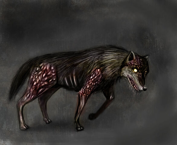 File:Doggy.jpg