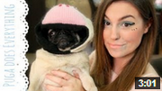Everything Does Puga