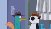 180px-Perry and Peter