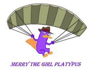 Merry the playtipie