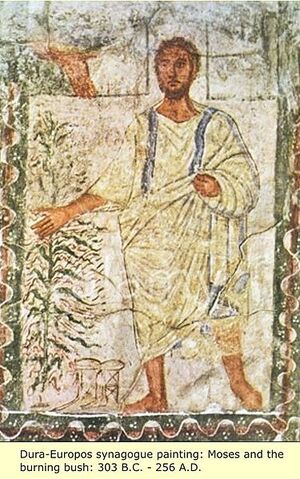 File:Moses bush.jpg