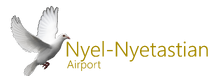 Nyelnetastianairport