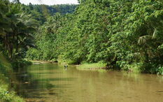 NeddatanRIVER