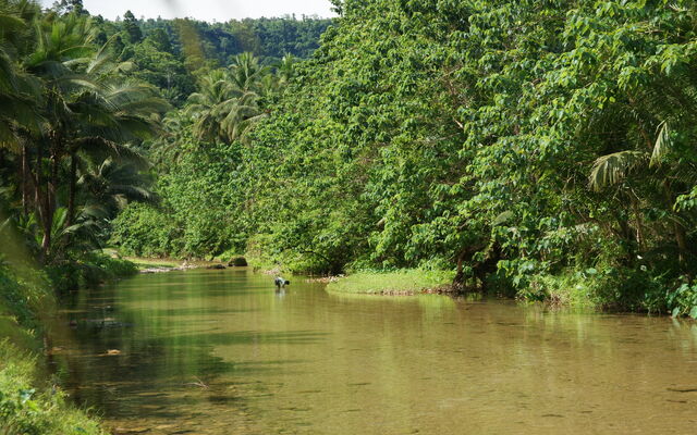 File:NeddatanRIVER.jpg