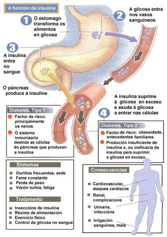 檔案:Diabetes-grafico-01.jpg