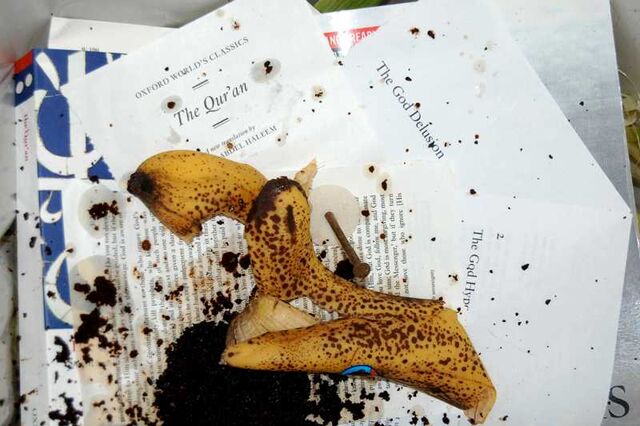 File:Desecrated.jpg