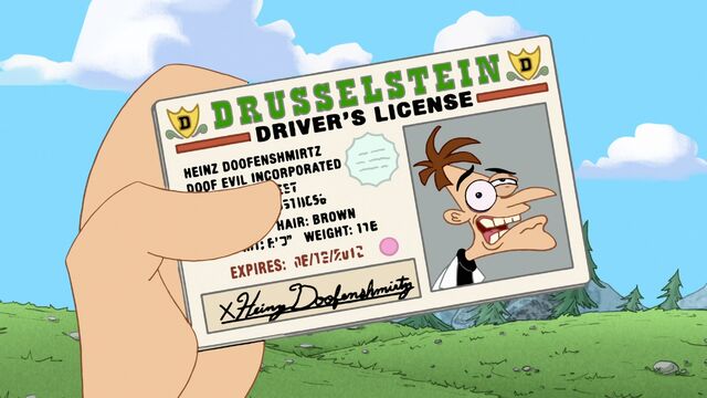 File:325a - Doof's License.jpg
