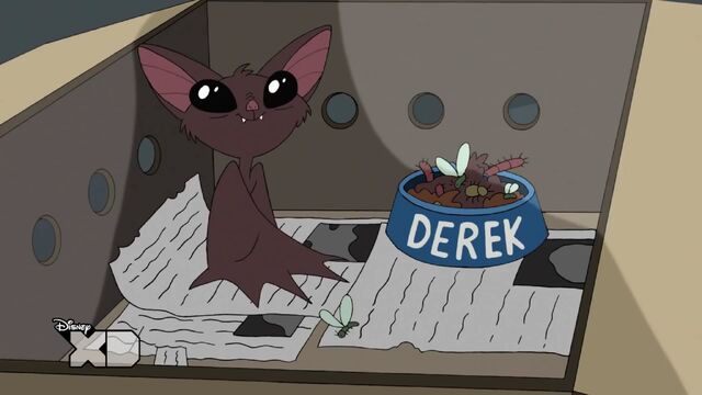 File:Derek the bat.jpg