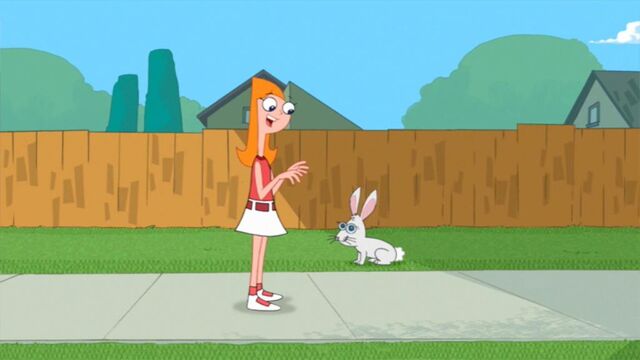File:Candace finds rabbit.jpg
