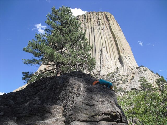 File:Devils Tower, Wyoming.jpg