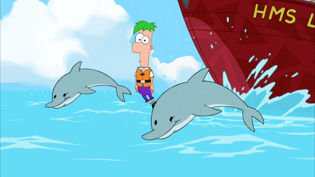 File:Ferb swimming with the dolphins2.jpg