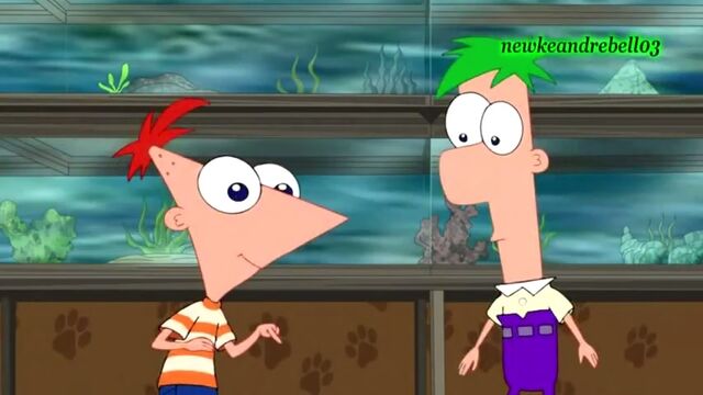 File:Little Phineas and Ferb see Perry.jpg