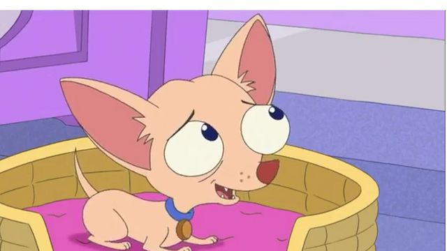 File:Pinky the Chihuahua.png