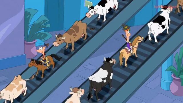 File:Up and down the escalaters.jpg