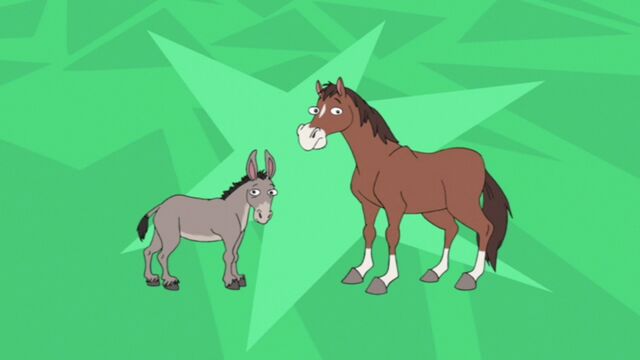 File:Horse and donkey01.jpg