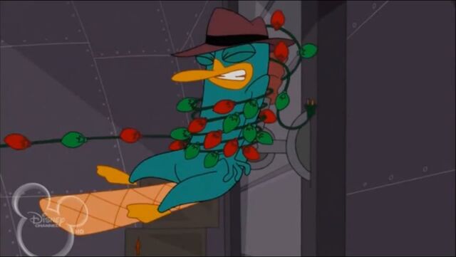 File:Christmas lights perry.jpg