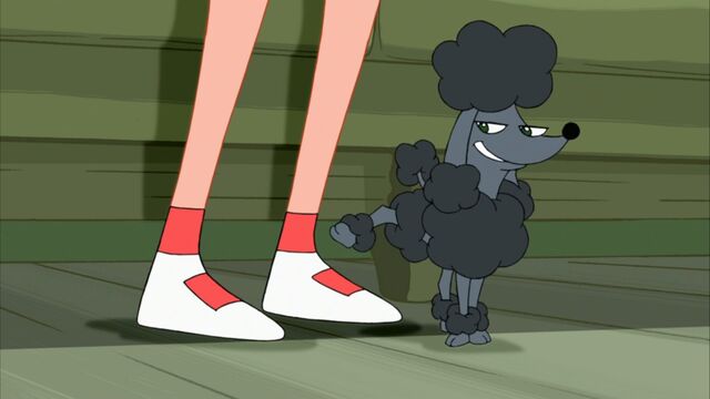 File:Suzy's poodle takes aim.jpg