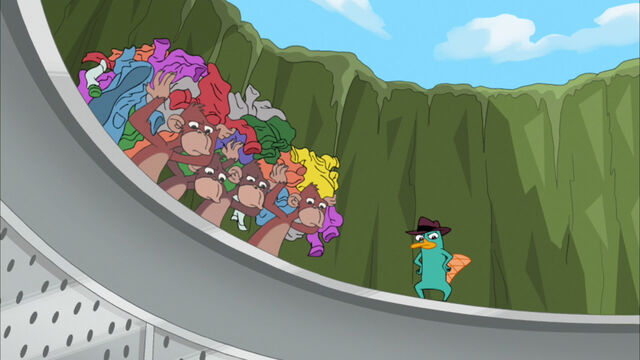 File:Perry watches as the monkeys wash doof.jpg