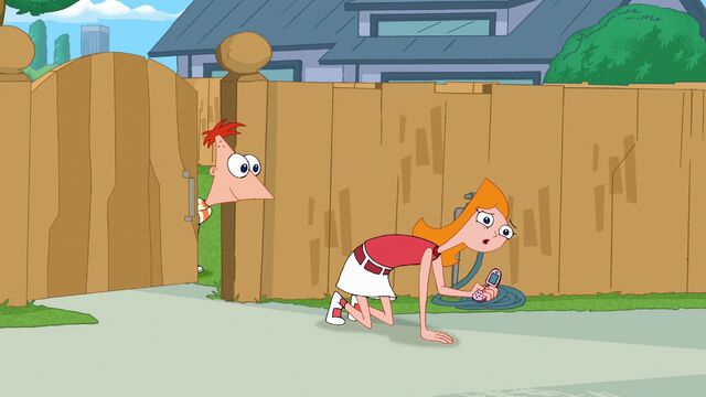 File:326a - Where's Perry.jpg