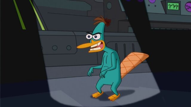 File:Chattering Doofapus.jpg