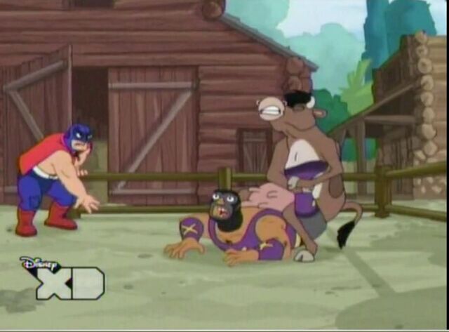 File:Cow Wrestler.jpg