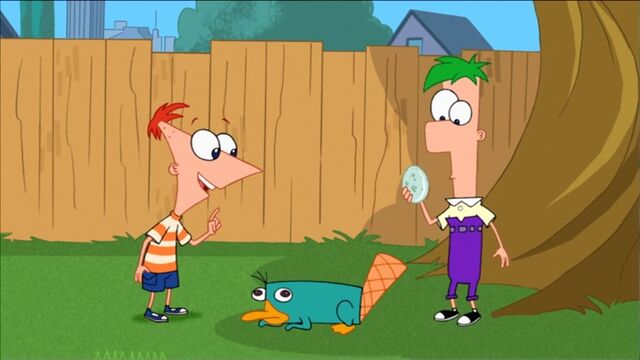 File:Perry's egg.jpg
