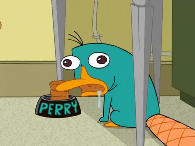 File:Amazing Perry.jpg