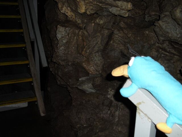File:Oregon Caves staircase.jpg