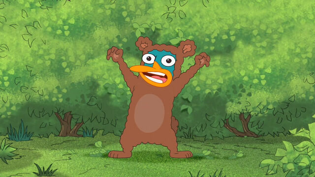 File:Perry, The Bear.jpg