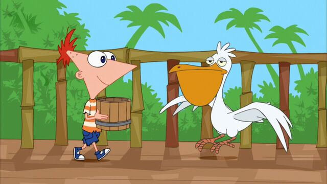 File:Phineas and a pelican.jpg