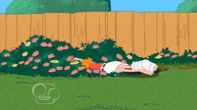 File:Candace in the grass.jpg