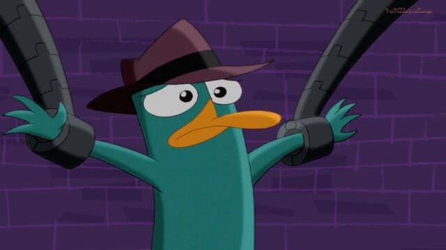 File:Frightened Perry.jpg