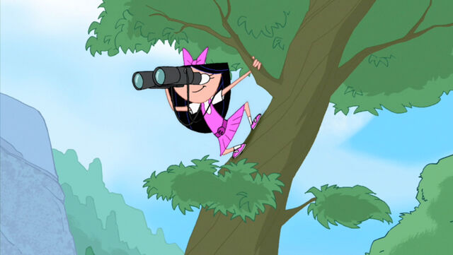 File:Lookout.jpg