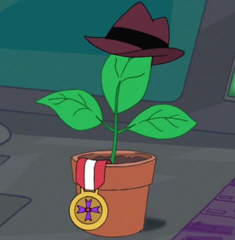 File:Planty avatar.jpg