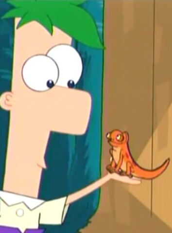File:Ferb and Steve.jpg