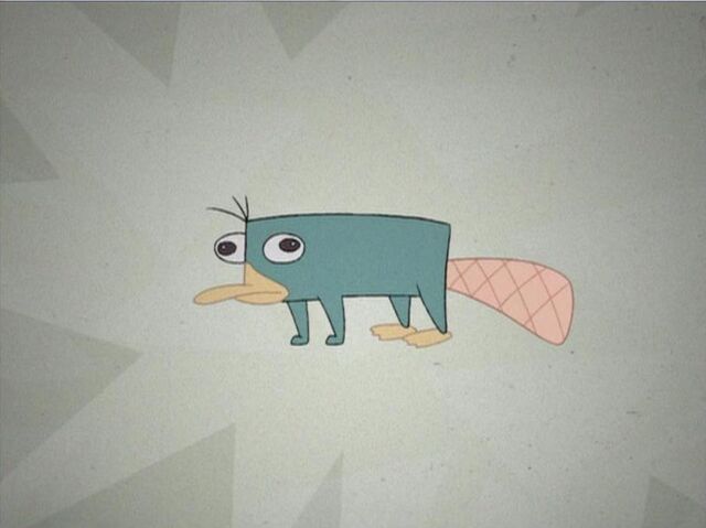 File:Some Platypus.jpg
